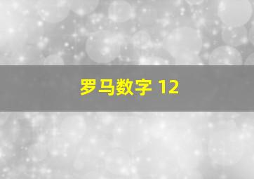 罗马数字 12